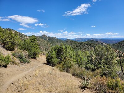 Nice trail surface towards the end of Telegraph Trail.