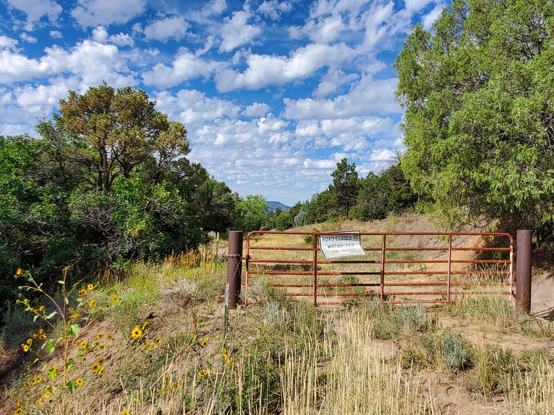 The gate across Horse Gulch Road.