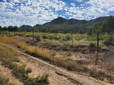 The views from the northeastern end of Horse Gulch Road.