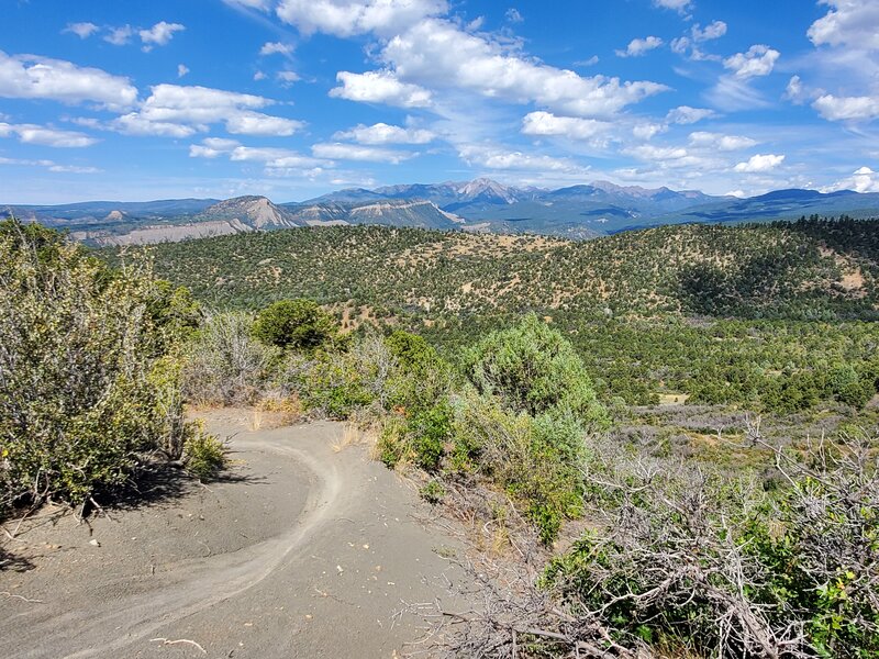 One of the nicer sections of the Rooster Trail.