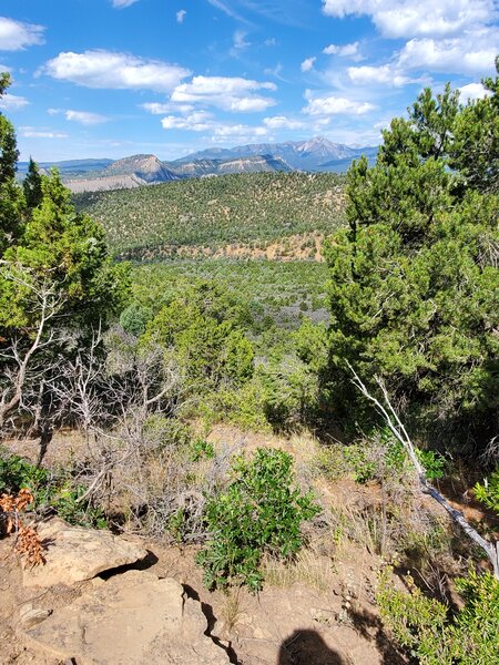 La Plata mountains in the far distance.