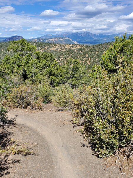 Views of the La Platas from Mike's Trail