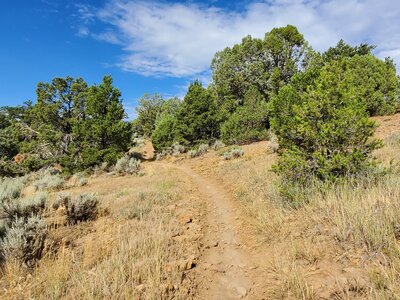 Heading west on Bandito