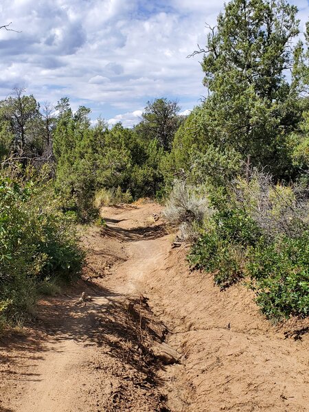Rutted lower section of Meadow Loop.