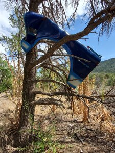 Old blue car panel decorates this section of Cap's Trail.