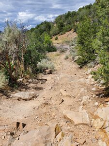 Rocky with no shade here.