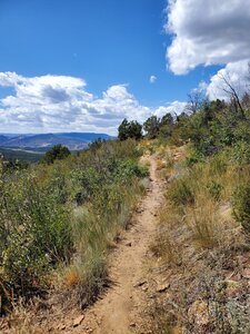 Mostly level ground on the Skyline to Sugar Connector.