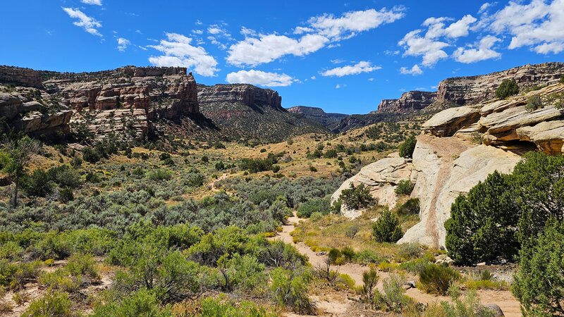 View from the trail.