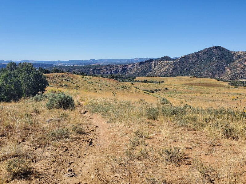 Looking towards the southwest from the end of the Carbon Junction Trail.