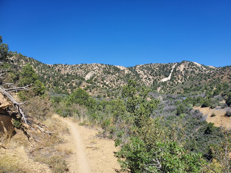 Looking north back into the bowl.