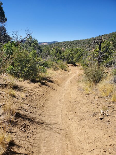 Mellow section of Sidewinder.