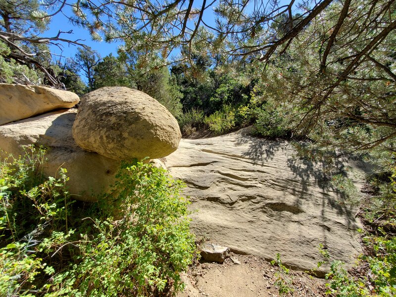 Namesake rock formations on Skull Rock Trail.