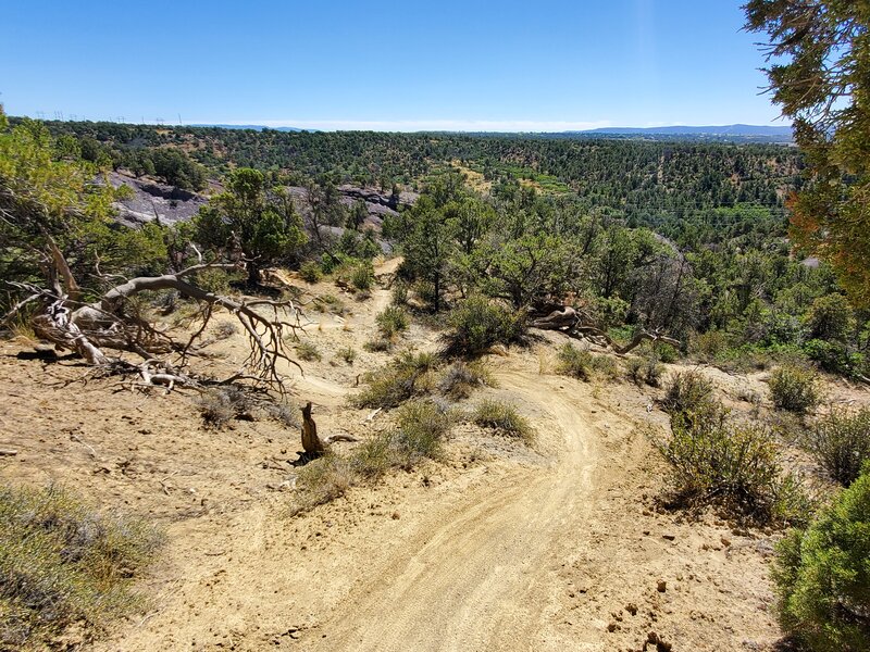 Views towards the east after cresting the ridge on Skull Rock Trail.