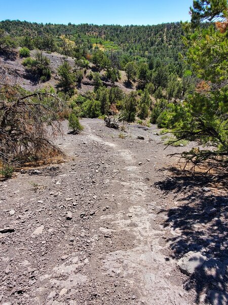 Steep descent over a long spine of black dirt and rock slab.