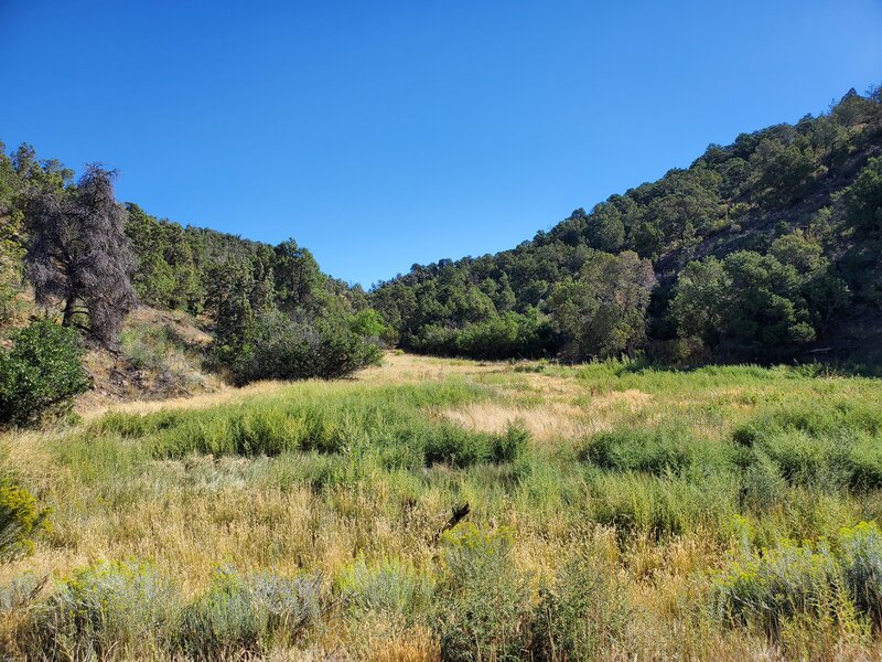 Start of Sale Barn looking up canyon.