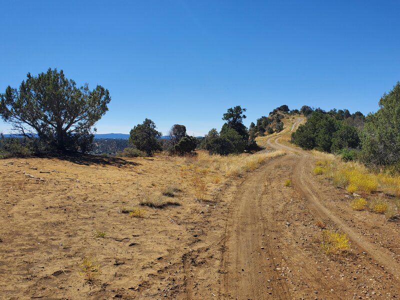 Looking south along the Grandview Ridge Road.