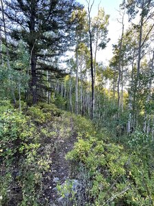 This trail might require a little route-finding.