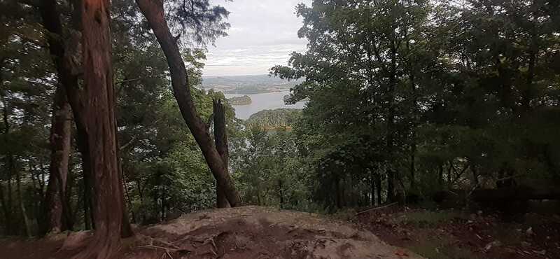 Lookout Loop Trail, Panther Creek State Park TN