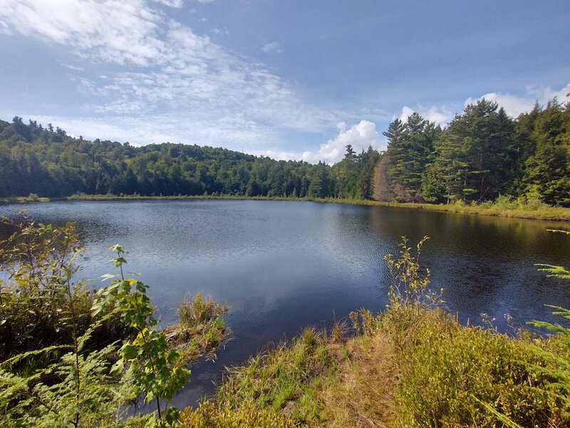 Clements Pond