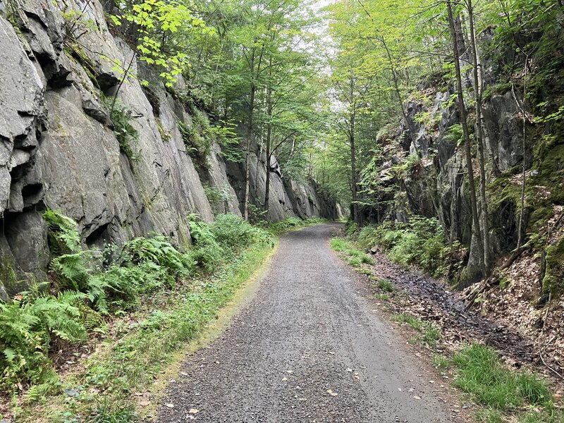 Railroad cut near Mascoma Lake.