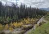 Deer Creek with fall colors in September, is seen below as Glacier Pass Trail follows it upstream towards the mountains in the distance.