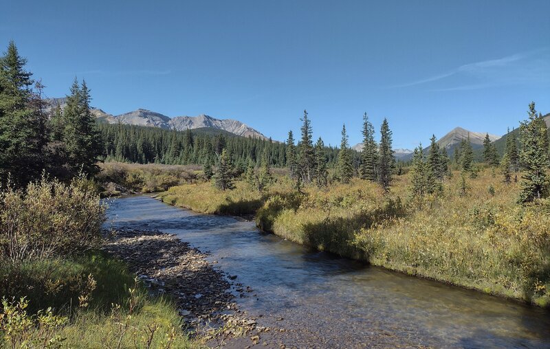 Remote Mowitch Creek in the meadows, amid the forests and rugged mountains of the northern Rockies. Looking upstream (west-northwest) towards Desolation Pass.