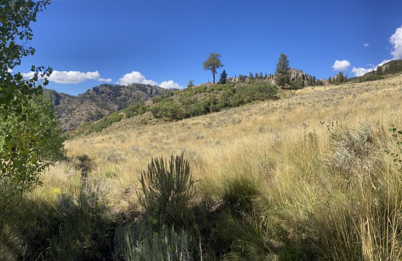 Lots of grassy hillsides with interesting rocks.