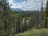 Circling around a low wet, swampy area, breaks in the trees reveal distant mountains ahead.