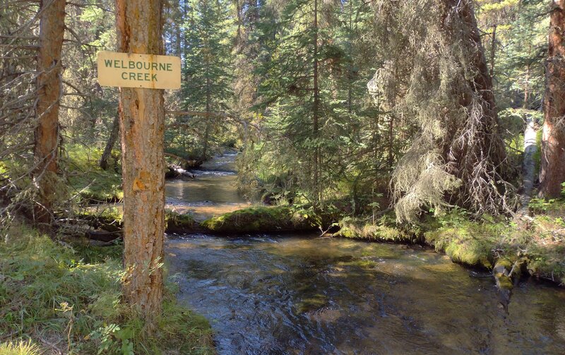 Welbourne Creek along the North Boundary Trail in Jasper National Park.