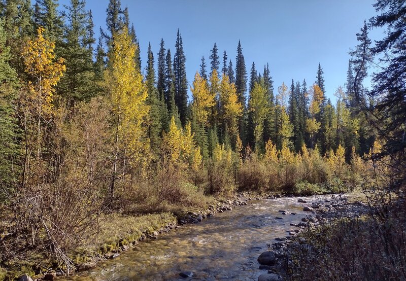 Deer Creek bursts with fall colors in mid September.