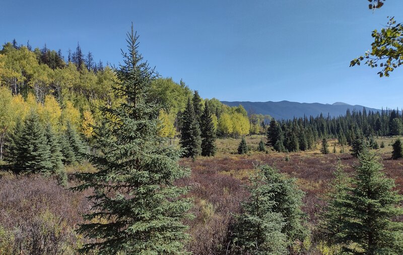 Meadows abounding with willows and forested mountains in their fall colors along the North Boundary Trail in mid September.