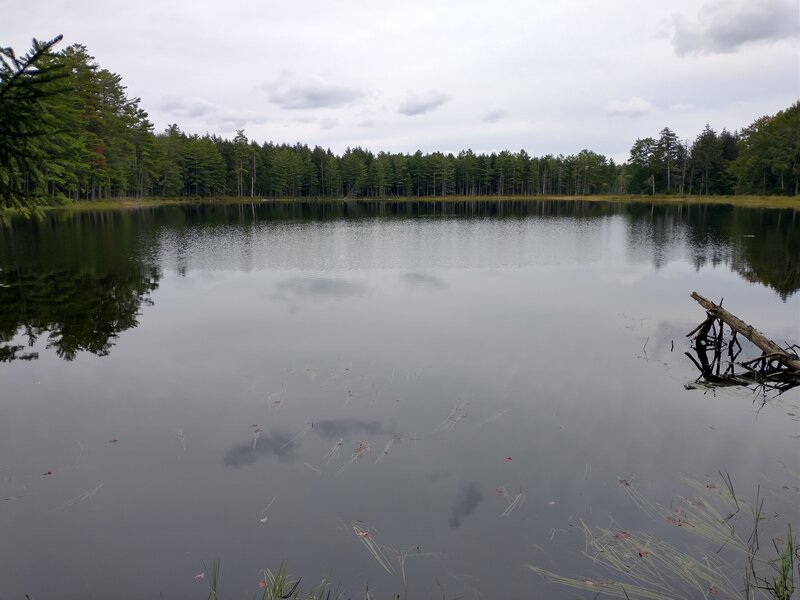 West end of Meadow Pond.