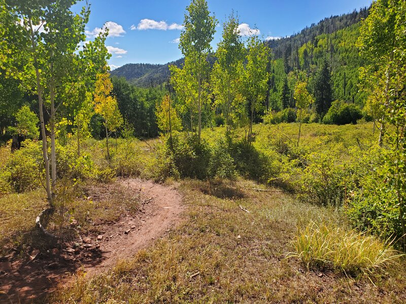 Looking southeast downhill, around a bend in the trail.