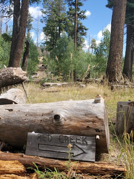 The junction of Missionary Ridge Trail and Red Creek Trail.