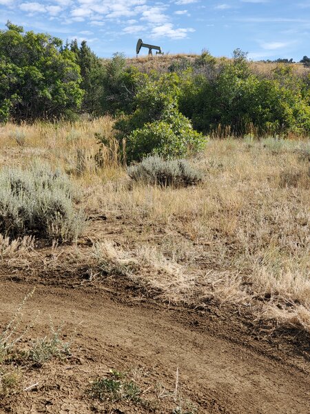 Pump jack extracting oil behind a short catchment berm.