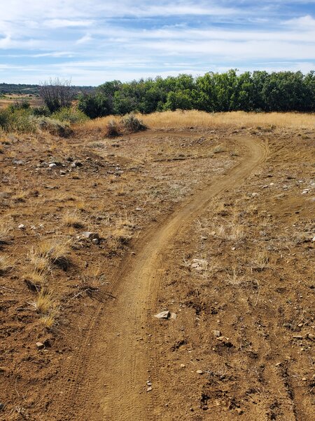 Looking south from Rail Spike Loop.