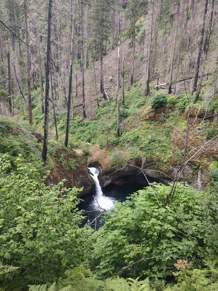 Punch Bowl Falls