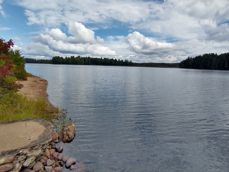 Beach on Hitchens Pond