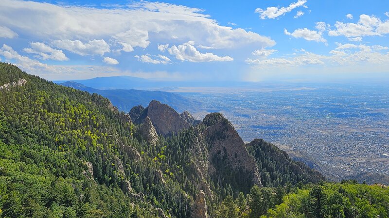 View from Trail 84.