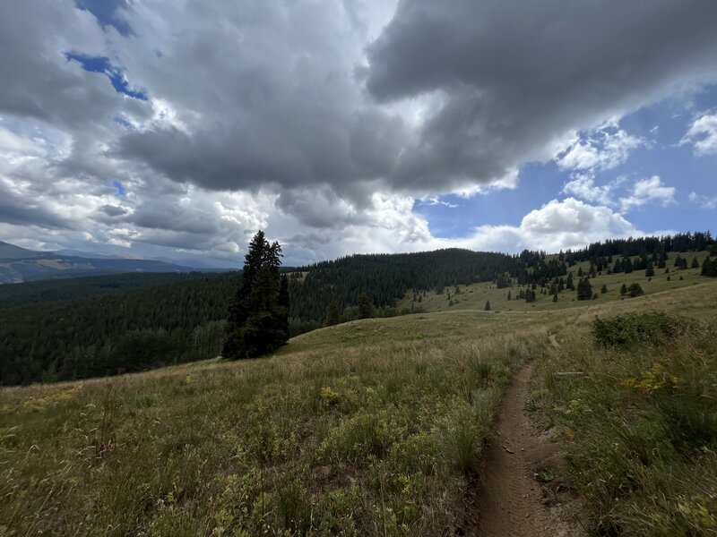 Open field before the ridge.