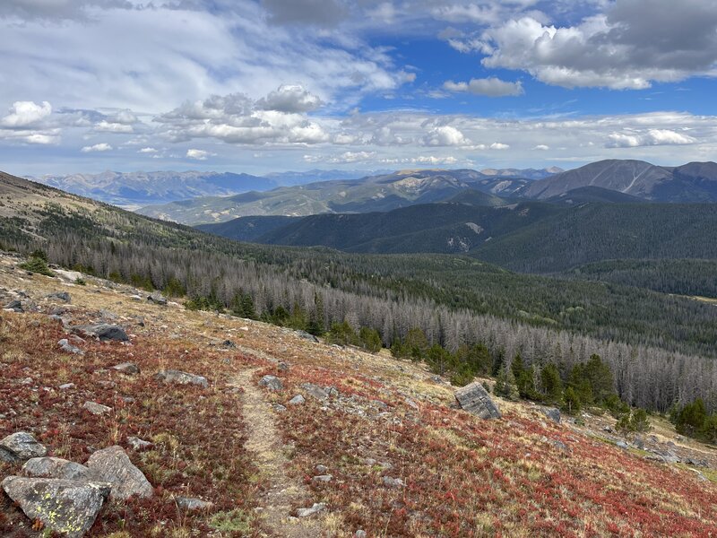 Descending from the ridge back into the forest.