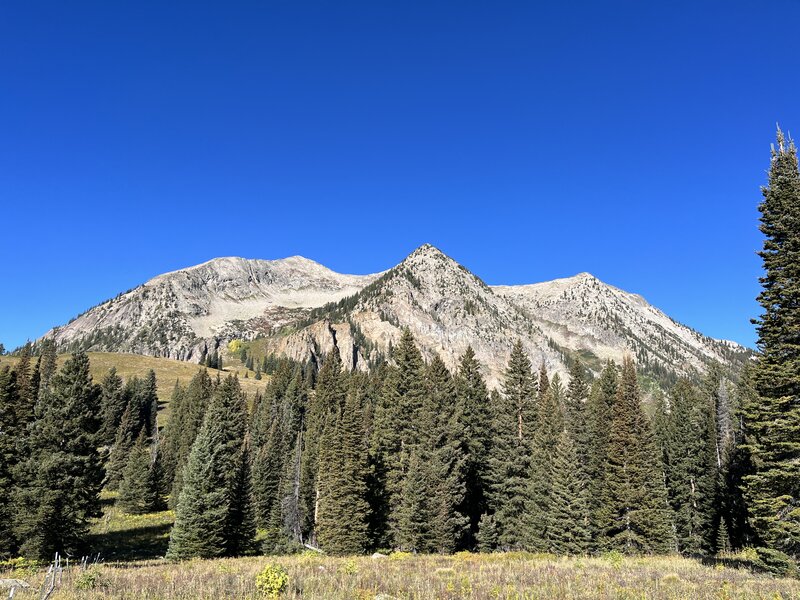 Looking up at the east side of East Beckwith.