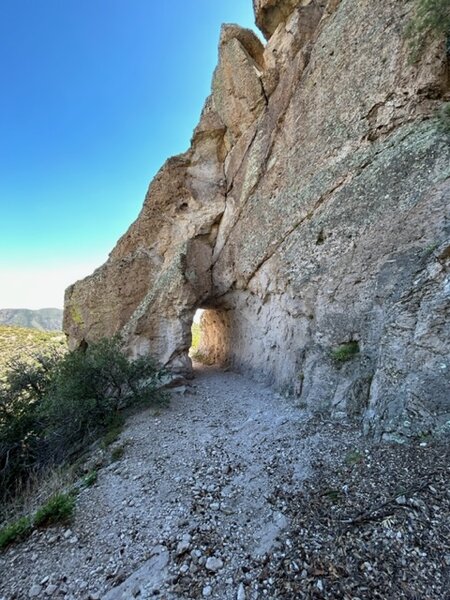 Tunnel built in 1930's leading to the fire lookout.