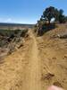 Fun section of trail along a ridgeline.