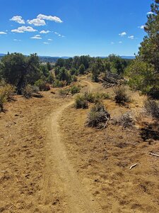 Easy sailing on Watertank Spur trail.
