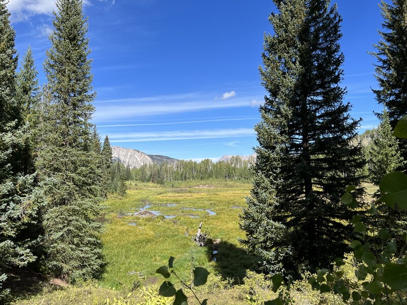 Meadow to the east of Beckwith.