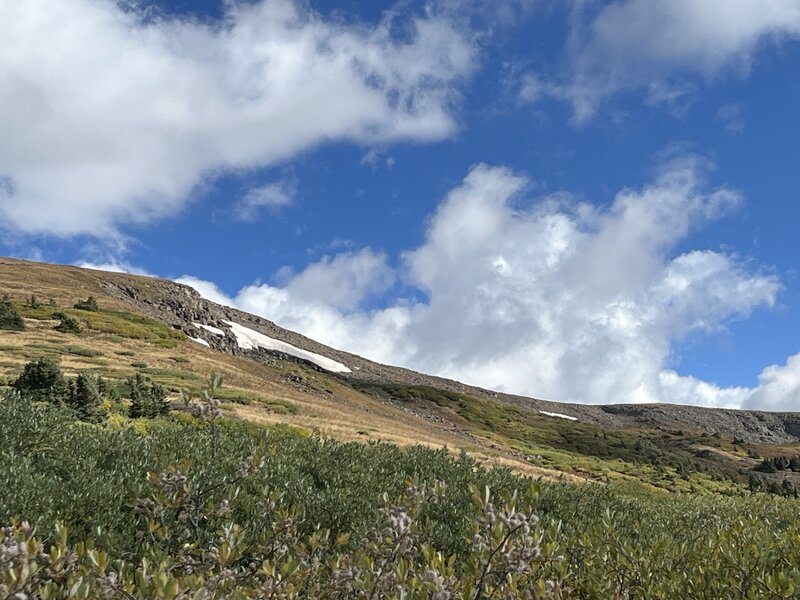 First look up at the east side of South Baldy.