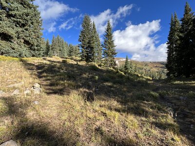 Follow the cairn to head towards South Baldy.
