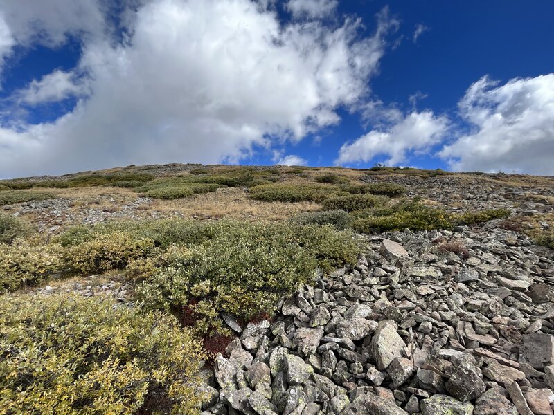 Climbing north to middle Baldy Mountain.