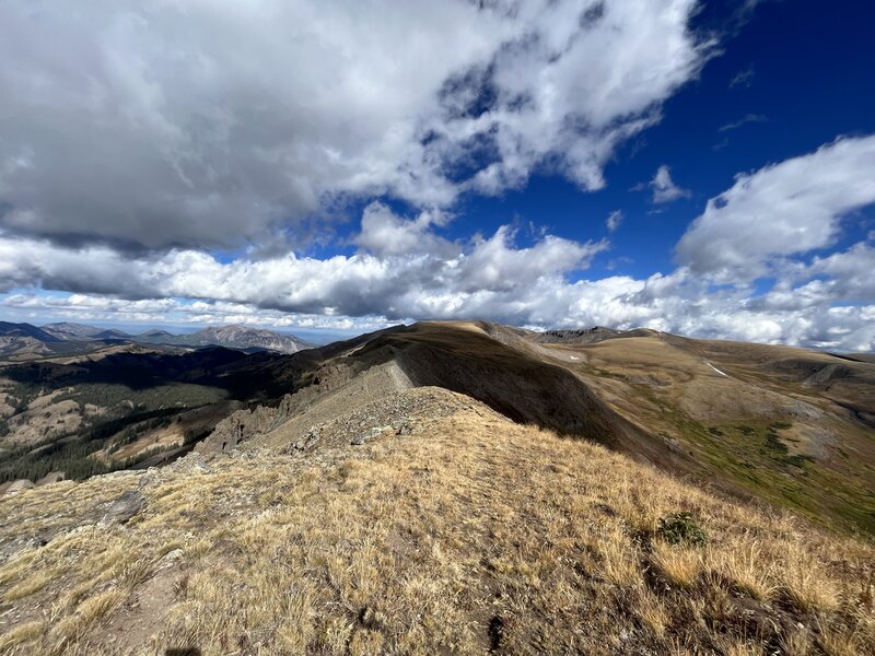 On the ridge between Middle Baldy Mountain and Middle Baldy.